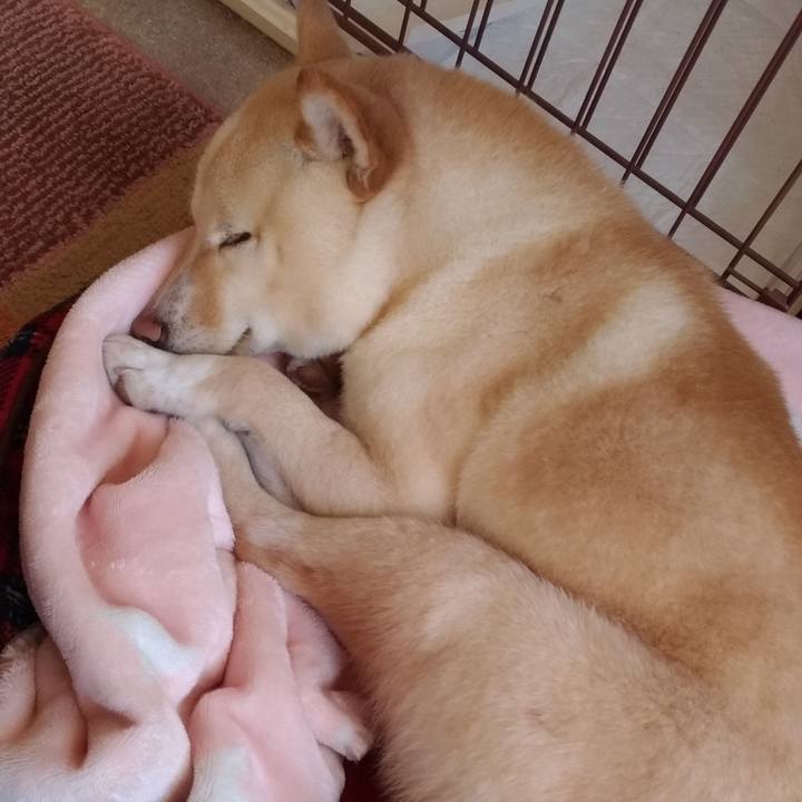 8974a8e3 b78b 4641 a44b 7850535c0de3 1551743182538