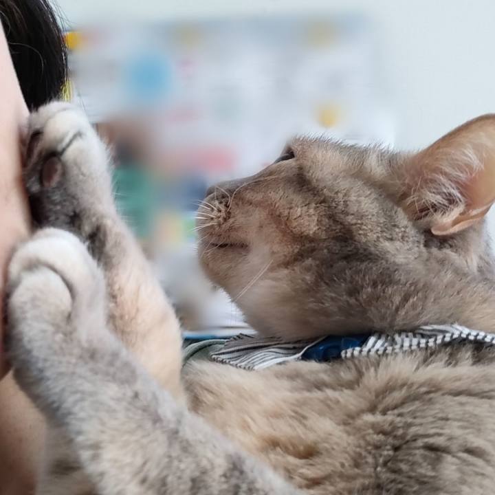 8974b28b 26c0 4bbe 8196 6aba69ba3721 1678853400945