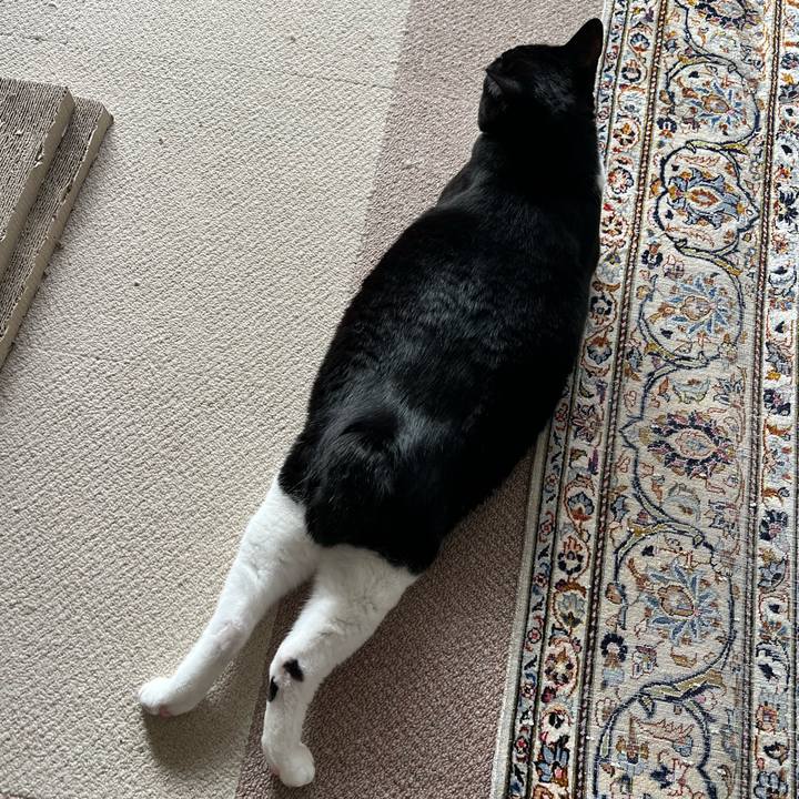 8974b7b7 dce9 4ae6 ba9e 95a44c489c22 1773960180348