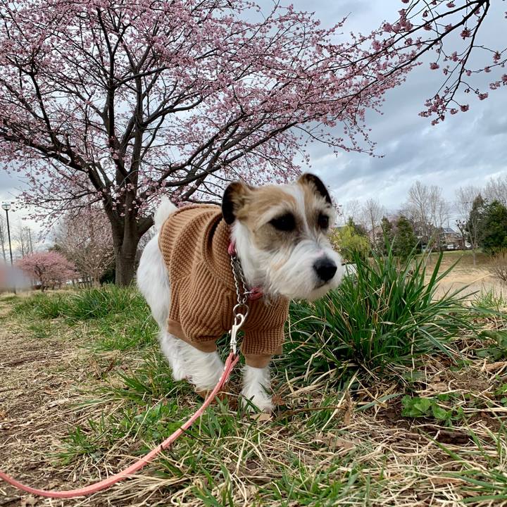 8974dea0 4bcb 49b9 ba7c 2b4a473aa3bd 1615282429262