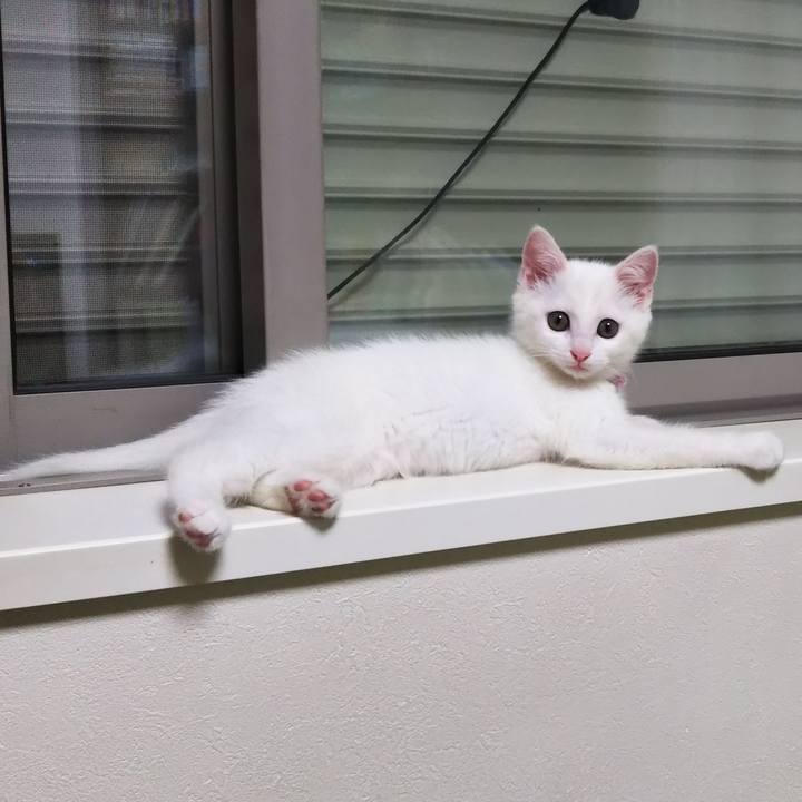 897539ef 4fa1 45e5 94fc 122590bf136b 1627704152530