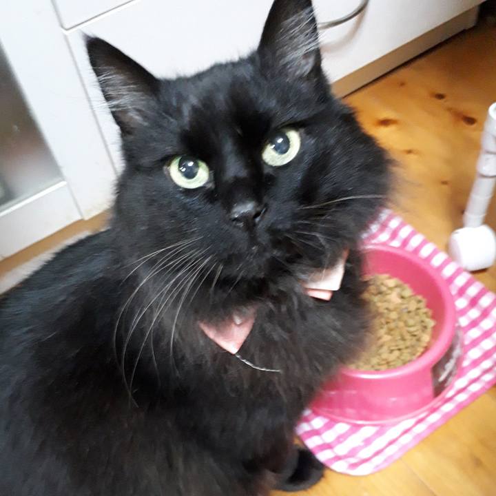 897547f3 1343 49b5 ac6c 12cd4ae47ecb 1520804895628