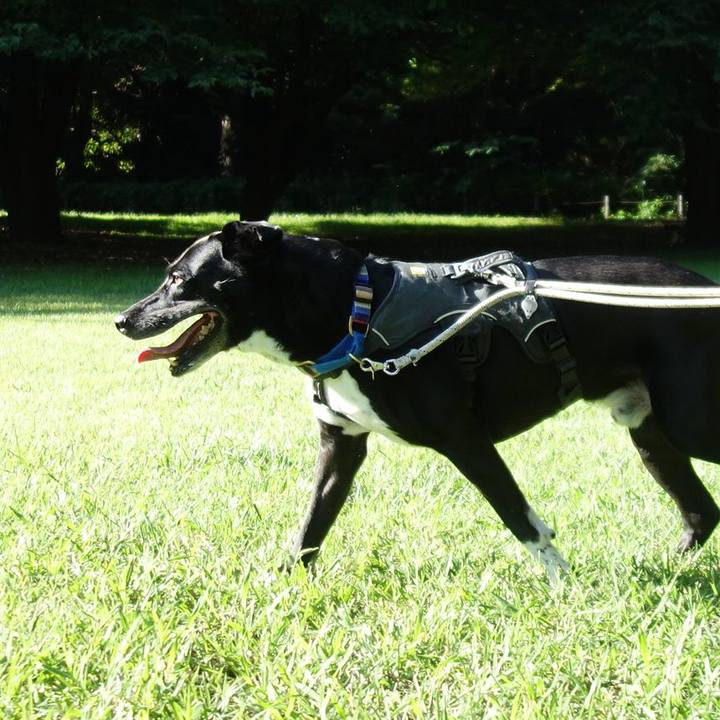 89756b19 f5fd 44fb a832 3c3fcd295e25 1662943232377