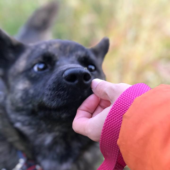 8975727c 5492 471d 9f50 329d576c3f6b 1509576735411