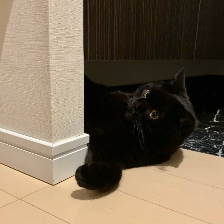 8975a83d f167 4029 bc11 a26de87fe9aa 1671884747751