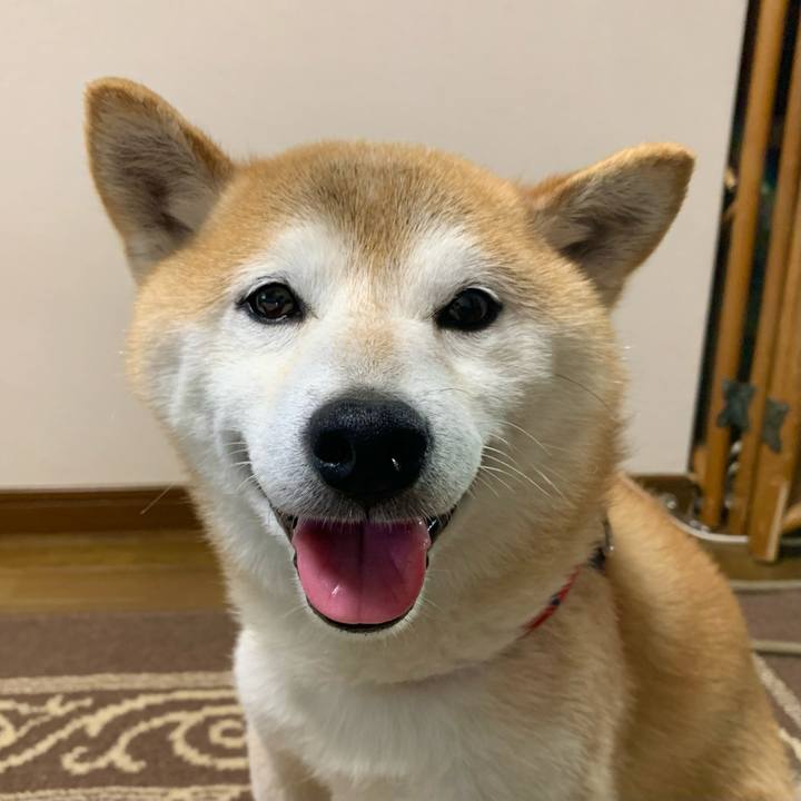 8975abc8 4df8 45d7 8214 c4b5fa5d71c1 1687087884625