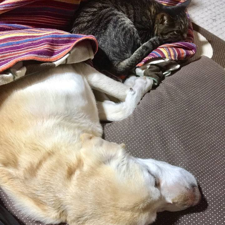 8975bafc dd41 42fc a97b 8f53dbe0ef21 1521719068013