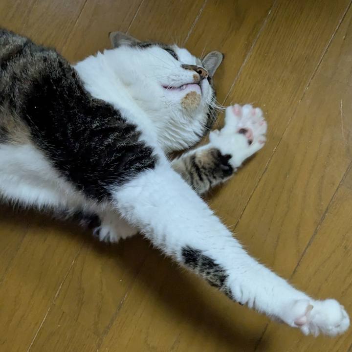 8975c681 2b9f 428d 9b0a 4713897484cc 1750282028757