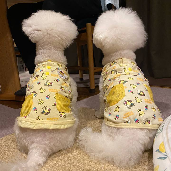 8975e602 2231 4f04 b1de 64d7df3e7fb7 1695815185862