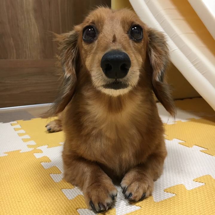 8975ed4c 2f5a 4d29 8f84 dcea9918213a 1528626889857