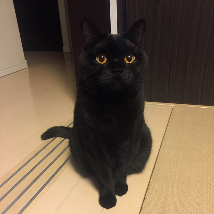 897619f6 8ed6 491f 9d43 76828aeb85c9 1522324893860