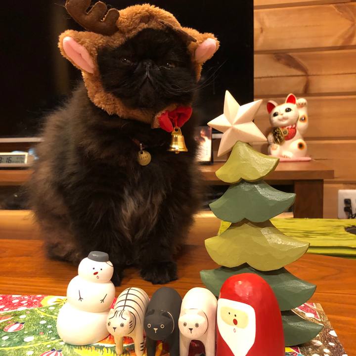 89762f33 4d02 41f9 95d5 e65a13b8ff18 1577188123556