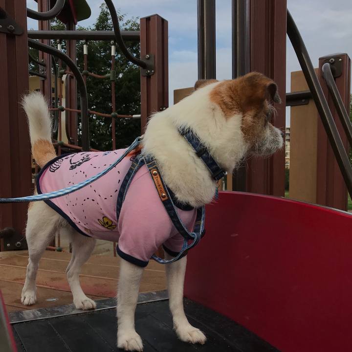 89767850 acd4 4ee8 86b6 78ff6ee88213 1562281520130