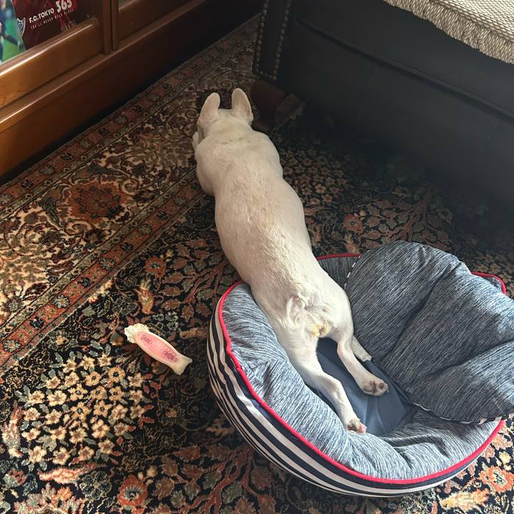 897679bc dc2b 446c 9ac9 57fc22fc4b1b 1720749162311