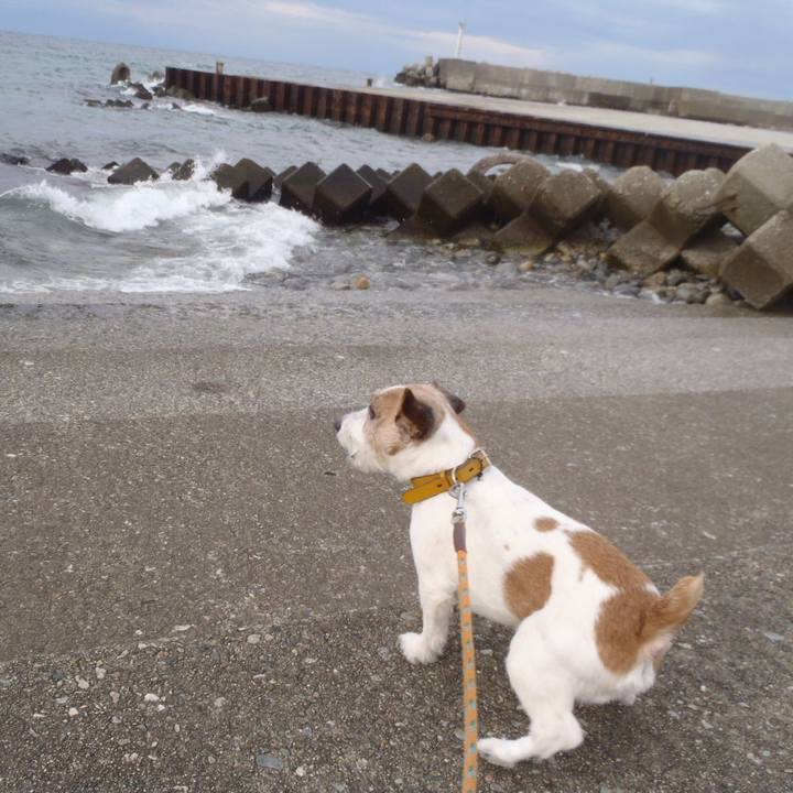 8976abf7 f98f 4b09 86c3 3f52bf66bbe4 1512891646304