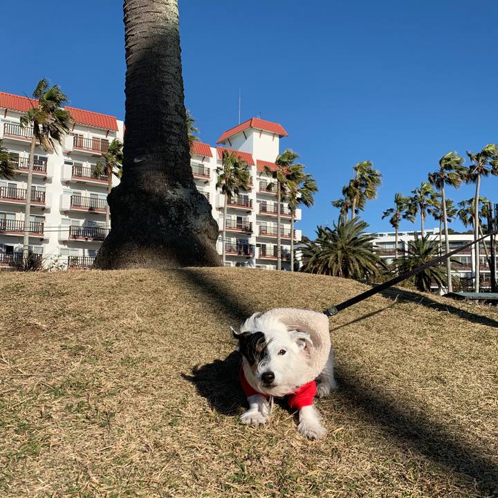 8976bdb7 91e2 4e75 840a 5d56d3a66d6e 1703119155782