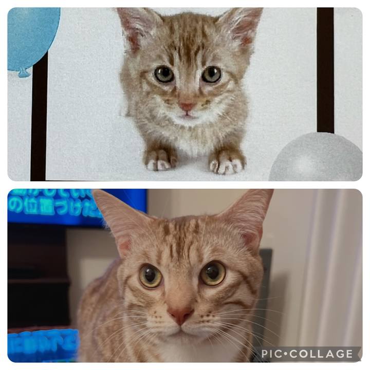 8976f521 fef0 4dee 8804 04272cd89274 1673929593797