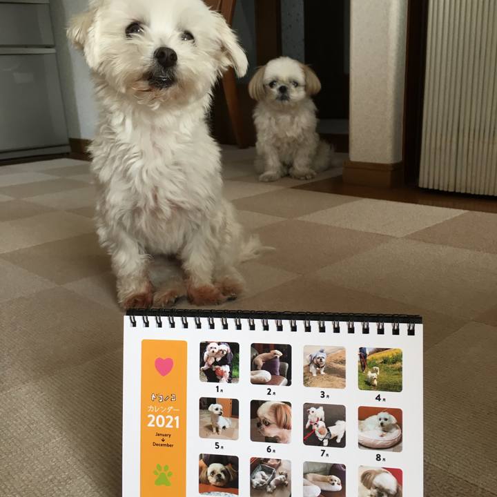 89771d35 904f 4b70 9af4 fbb57090963b 1605760294131