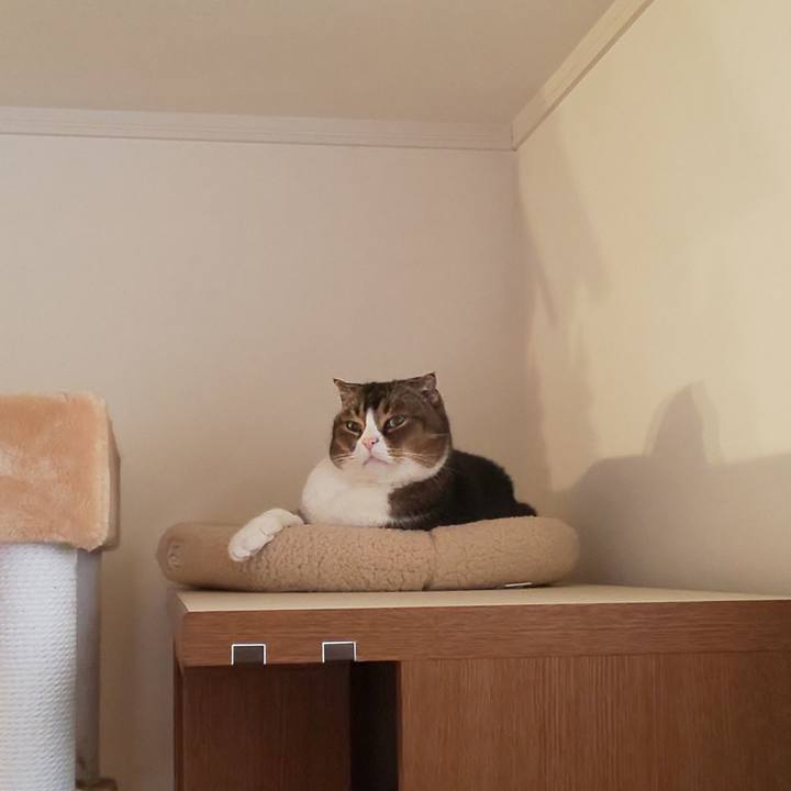 89772df2 0a88 47b9 bf67 881701779add 1671161510983