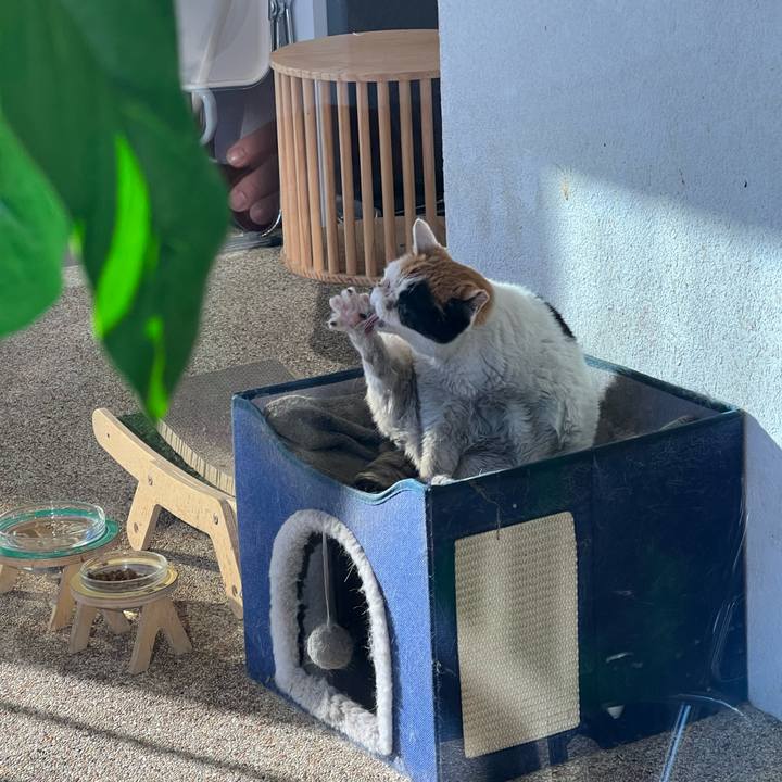 89775be7 669c 457a a76d c75644eeaf84 1736387386676