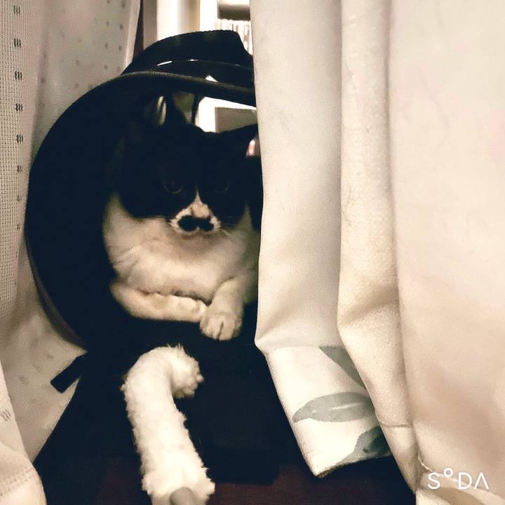 89776158 3500 48c2 aed4 2e454c3e937c 1687873393853