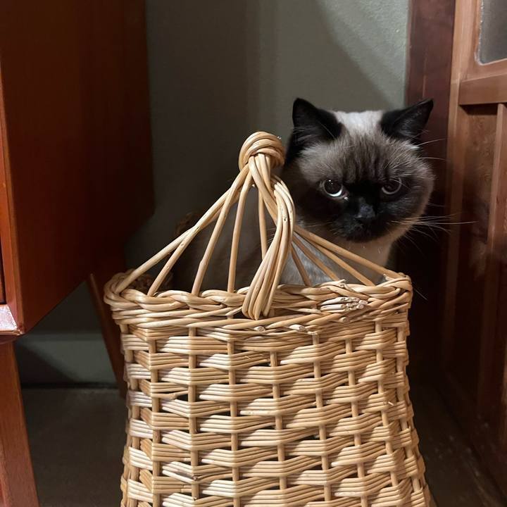 89776754 6046 4262 b431 3841775497f7 1637321146464