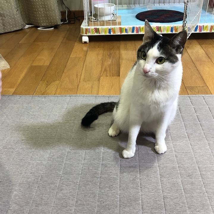 89777100 7a8b 421e aec1 950cd4c2c489 1646396282412