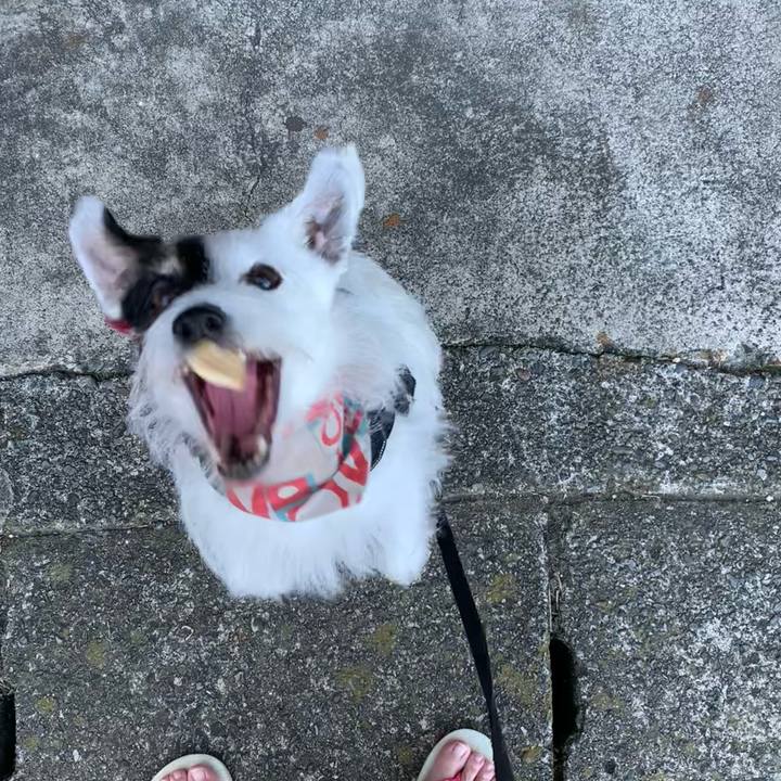 89777ff7 5704 4d96 9526 128e5e23d17f 1753138823464