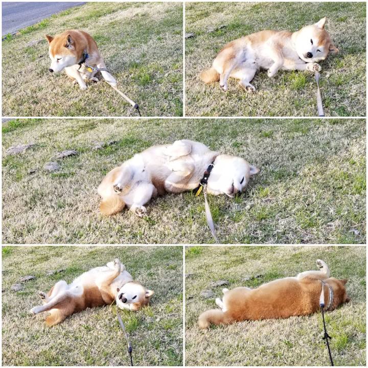 8977b309 b226 4cac a8f1 de503eea14b1 1619253361781