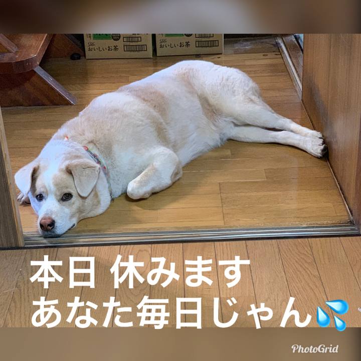 8977debf 74fd 4976 9dd6 4e60105595b7 1570839202545