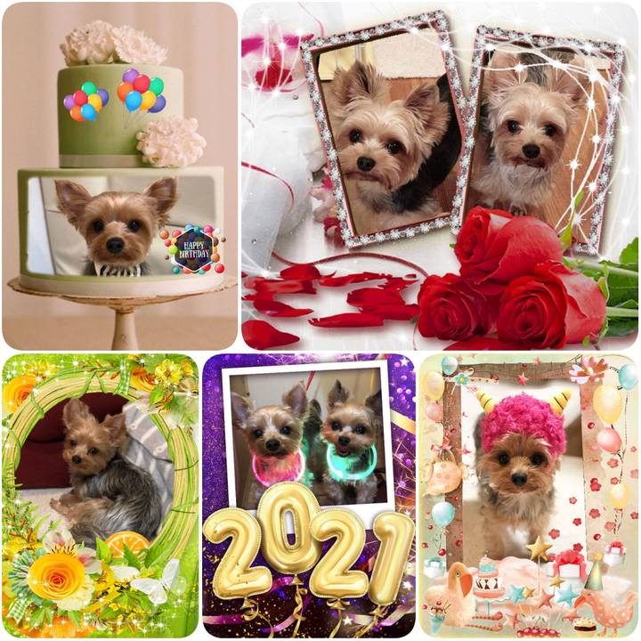 89782023 c0d2 4f7d b94f 7d3f0bbacdad 1611704267877