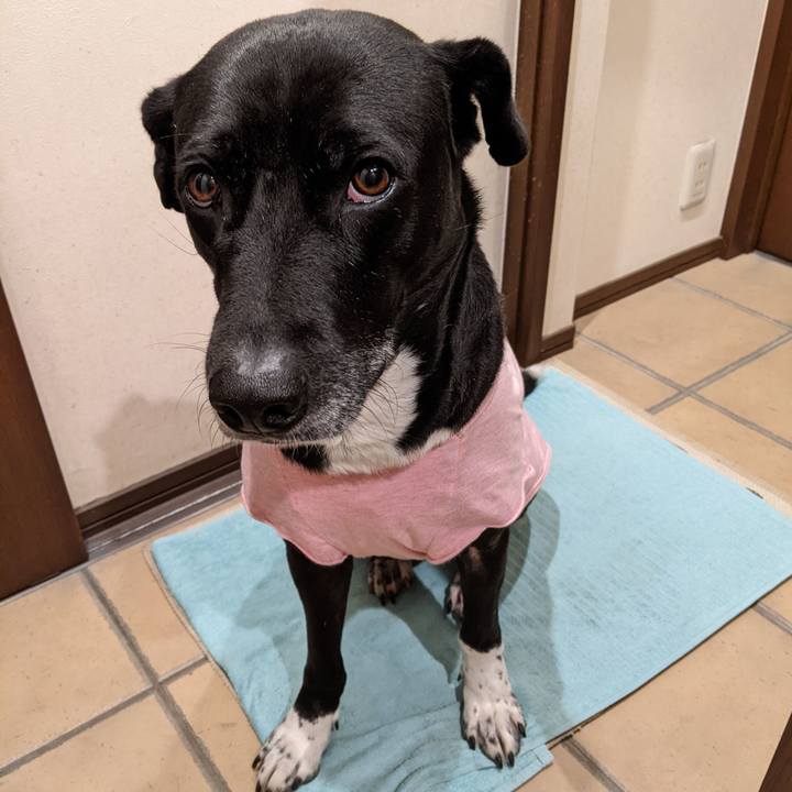 89782e3b 14ca 4809 9327 2842211a18fb 1645441427427