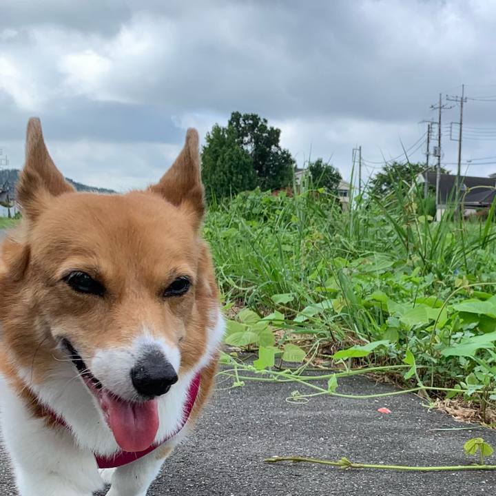 897847aa cb63 40ec 8bca 73d01650a116 1725238082914