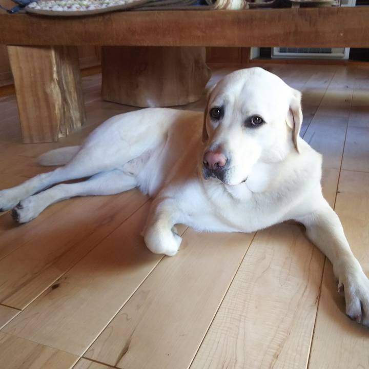 89785660 fd0c 4a25 b6fb a6252c51951d 1523265422071