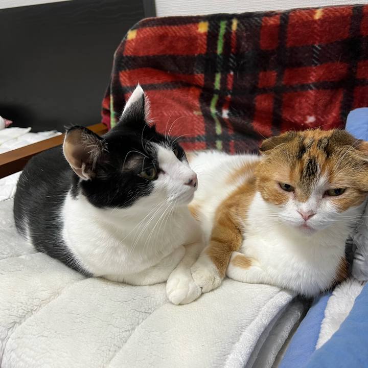 89789359 0ba8 4bfd 9de7 b82938de7a22 1667636559038