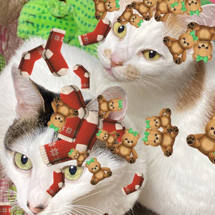 8978b12f f28e 49be 9362 f2aa67e27ac3 1607086563885