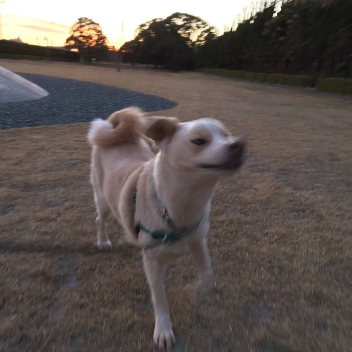 8978ba37 61e7 4fdf a38b 2e08676f7d25 1515061699608