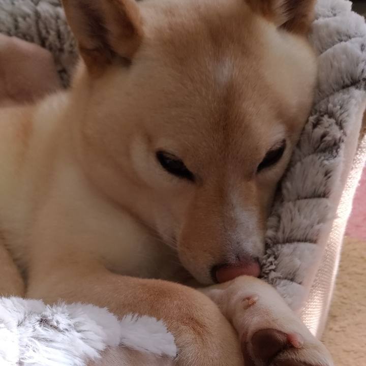 8978c1ed 6f5d 479a bf18 020c07d2c223 1580698725580