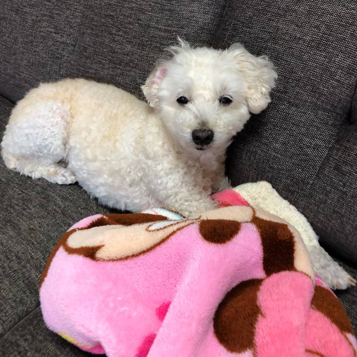 8978c37f 88c4 4a50 8ad8 155997a8c1af 1527044206782