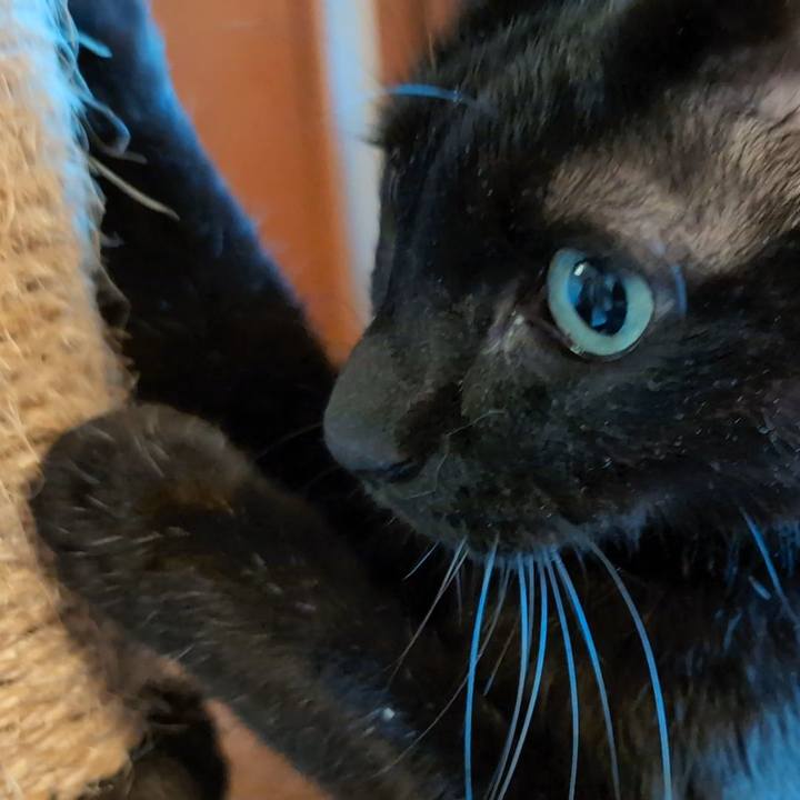 8979086f 35fb 4660 b756 f0e1146626c7 1767402576938