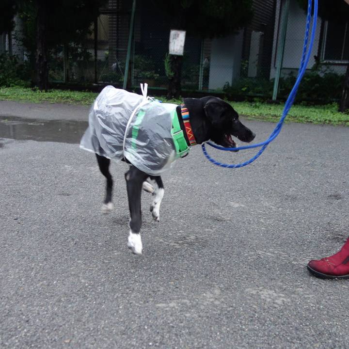 8979288a 7de7 4190 ba70 0f4c0dba5a8d 1595757665147