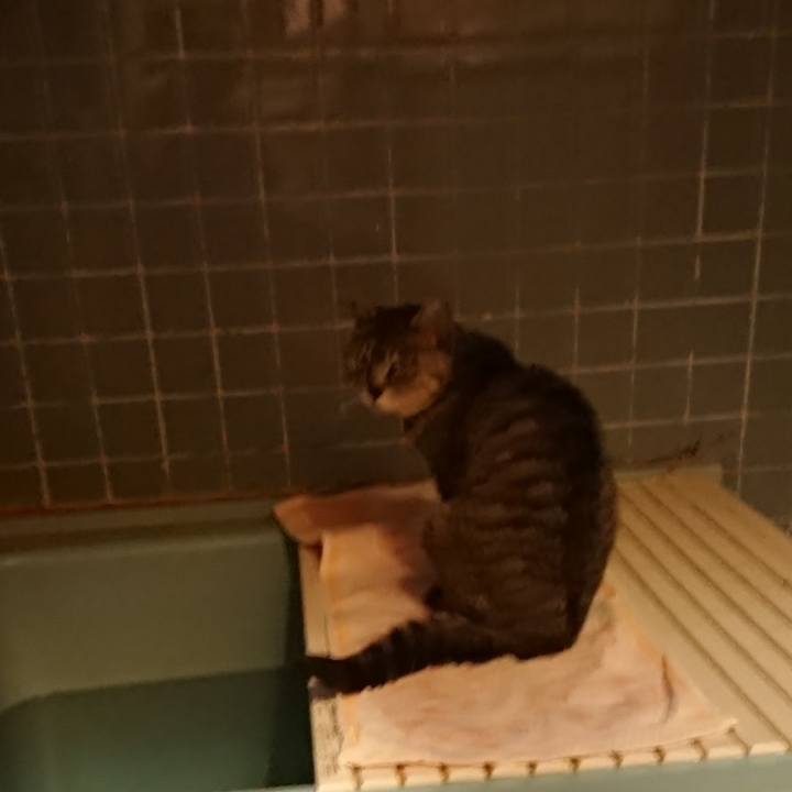 89793706 a9cb 4284 8668 0fc490e8cddd 1591179998515