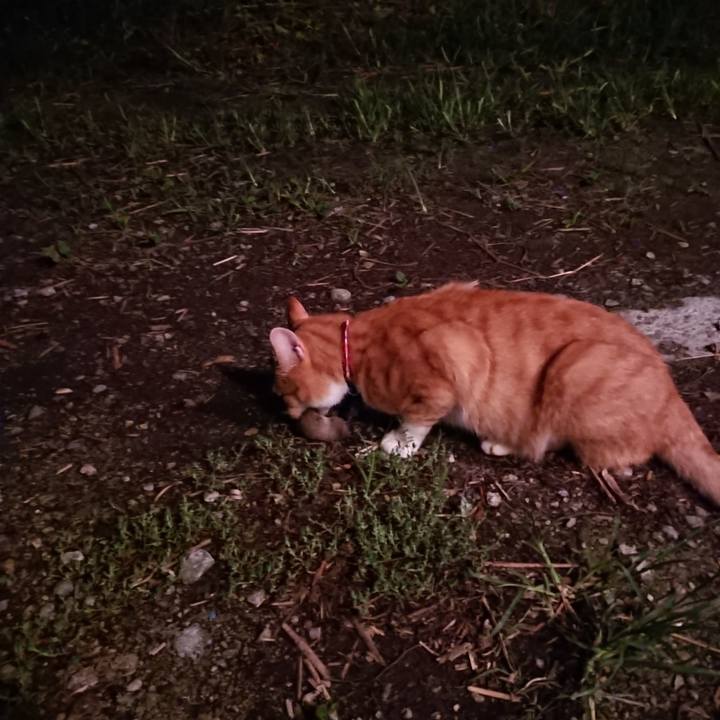 897966ff d95a 48f0 898a f6b5c517237f 1599214757044