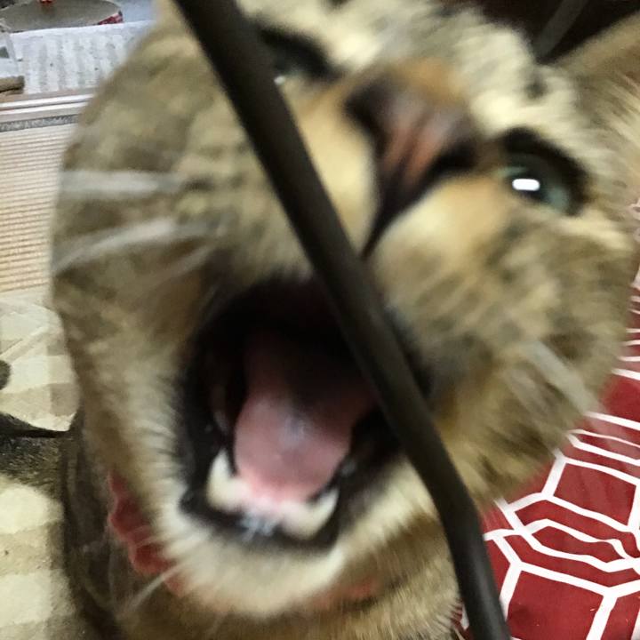 8979cea1 dd68 4c0a 88d9 1c95f4aac256 1615105382365