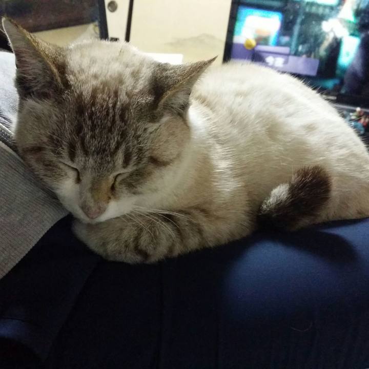 8979d6d7 bbb3 4606 91fd 6042da2f8f4b 1515079695420