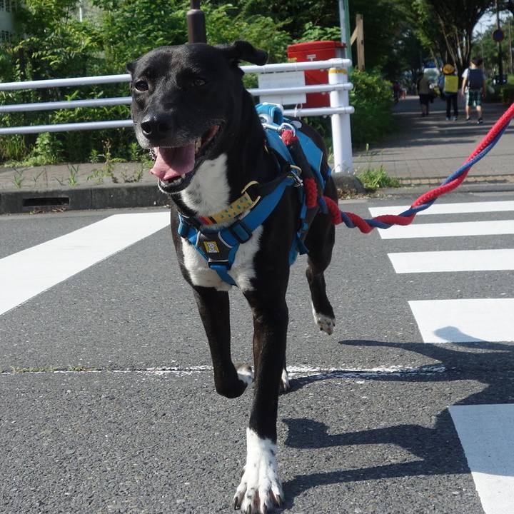 8979ed0f 9885 45a4 b51e c36febf72467 1623371229678