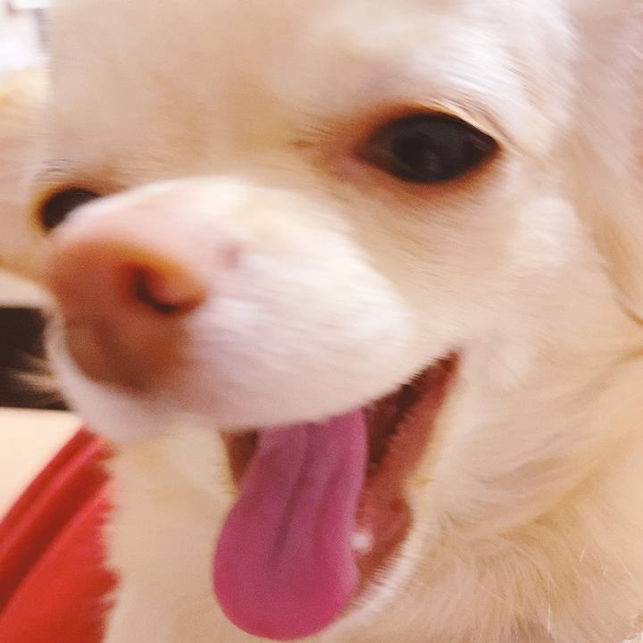 897a4cf3 b882 4731 bed8 0a4222f439b7 1617695469937