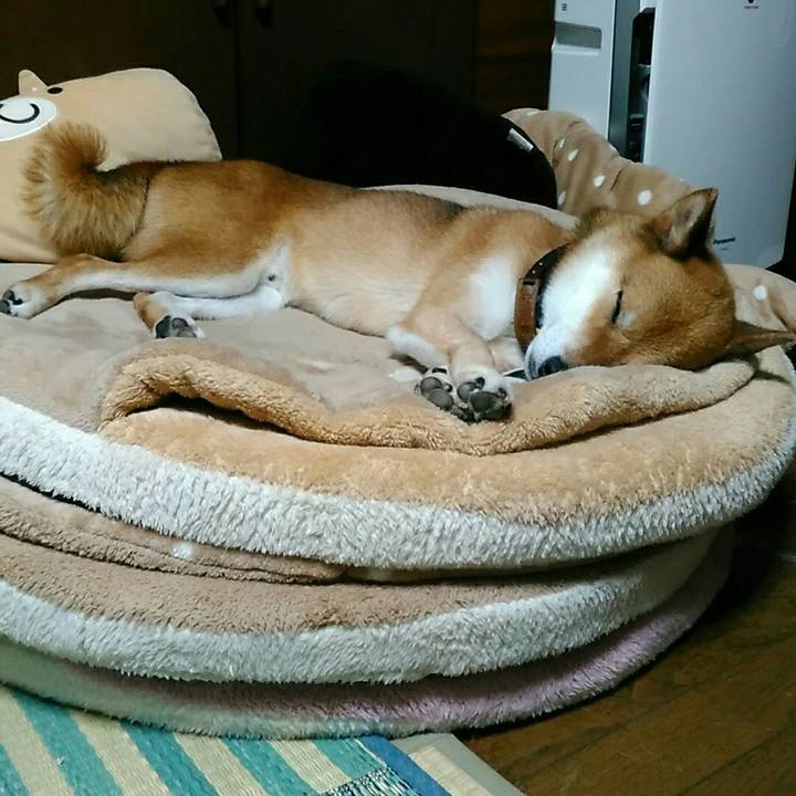 897a50b3 f834 4d9d b828 5613668fff57 1567075742786