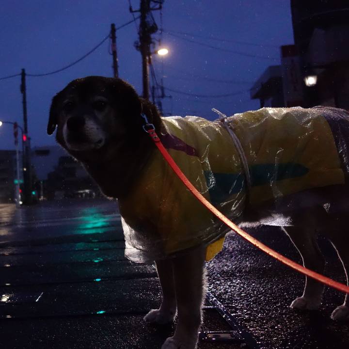 897a5bf9 d85d 46f2 a4e8 7da018fc2829 1556619603885