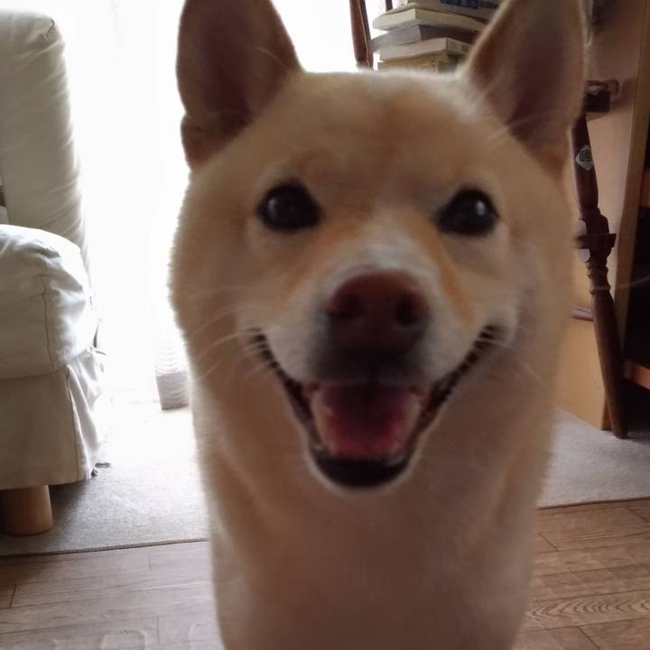 897a68c8 4c8f 4b72 9340 74ed357221be 1594853465907